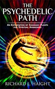 The Psychedelic Path — book cover